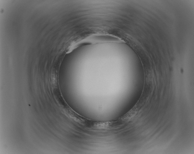 X0000071770084200607211542