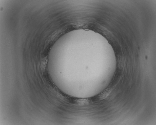 X0000071770085200607211542