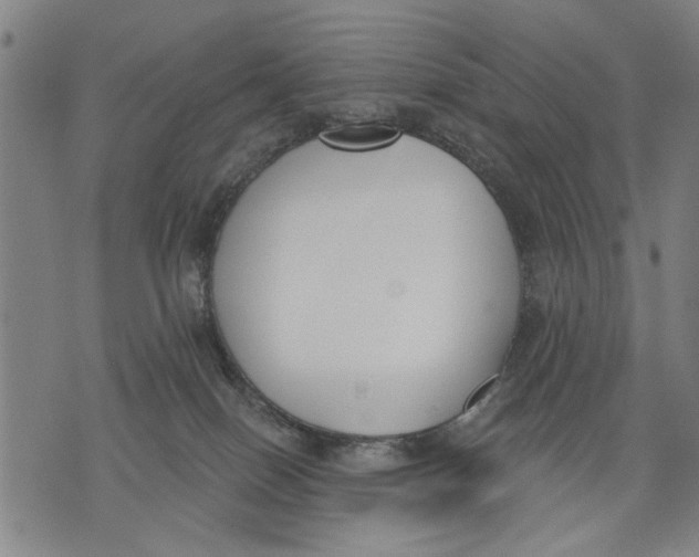 X0000071770086200607211542