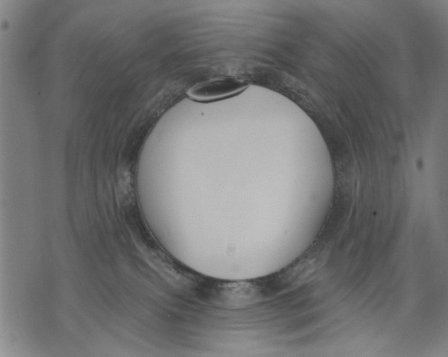 X0000071770087200607211542