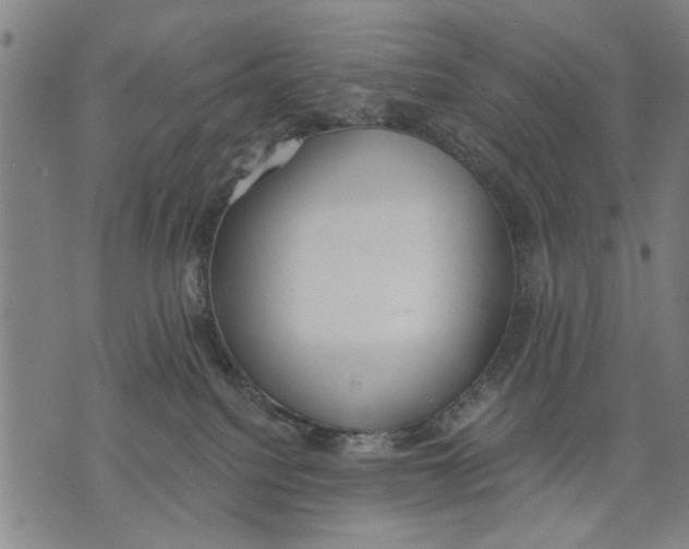 X0000071770088200607211542