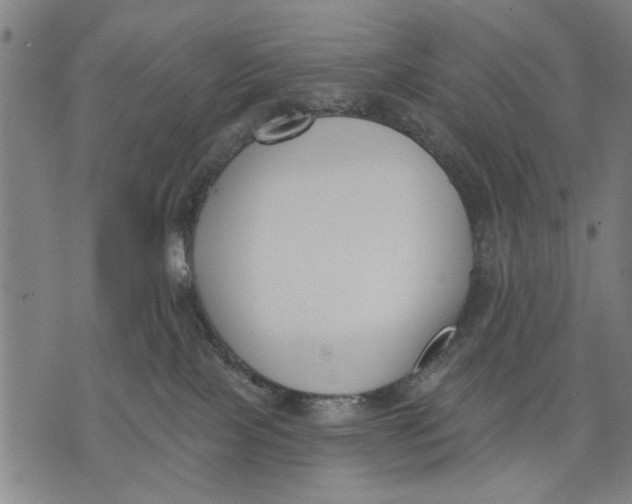 X0000071770089200607211542