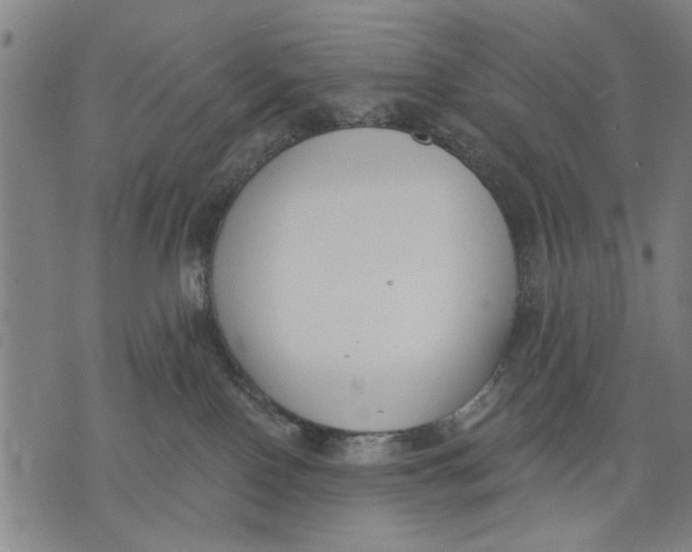 X0000071770090200607211542