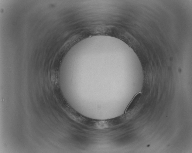 X0000071770091200607211542