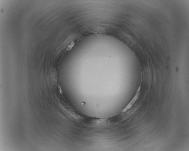 X0000071770092200607211542