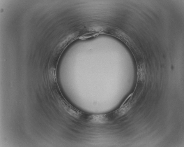 X0000071770093200607211542