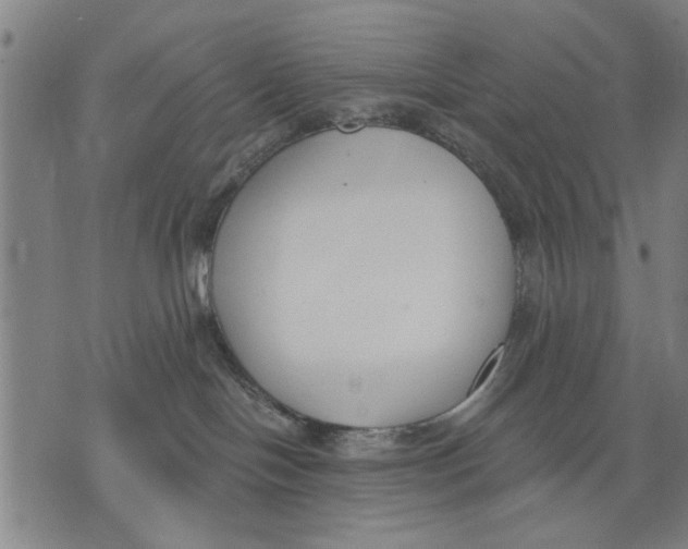 X0000071770094200607211543