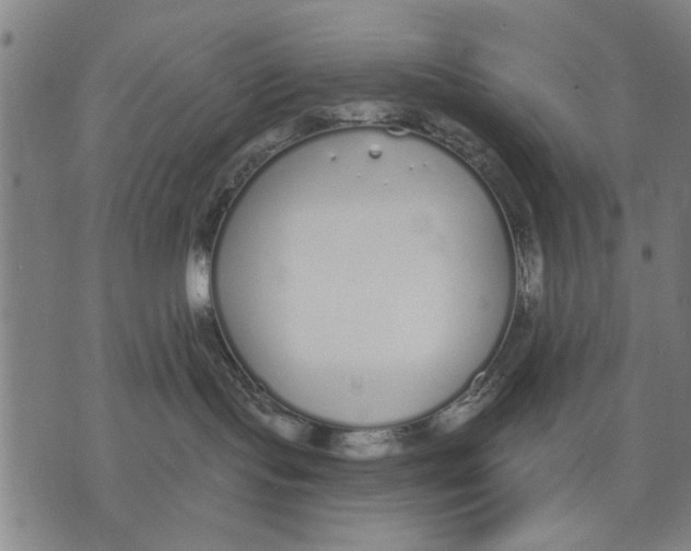 X0000071770095200607211543