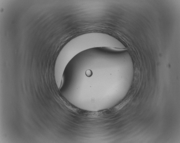 X0000071770096200607211543