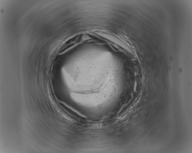 X0000071770097200607211542