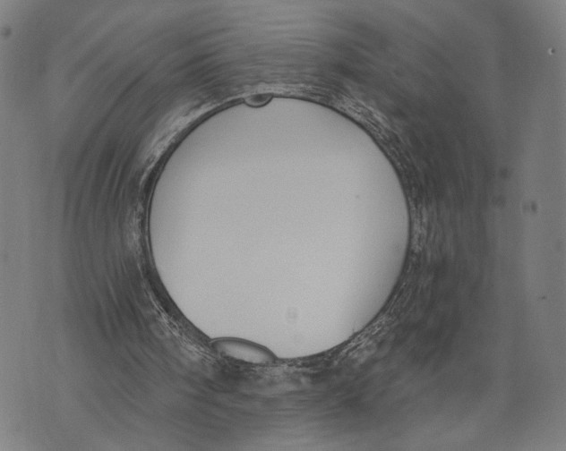 X0000071770098200607211542