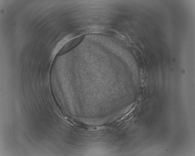 X0000071770099200607211542