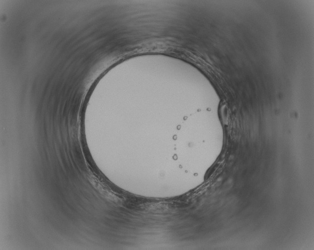 X0000071770100200607211542