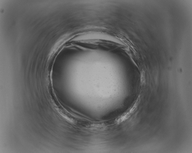 X0000071770101200607211542