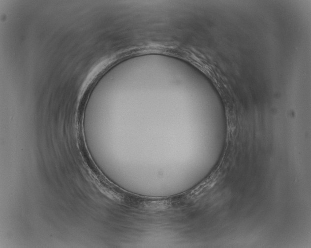 X0000071770102200607211542