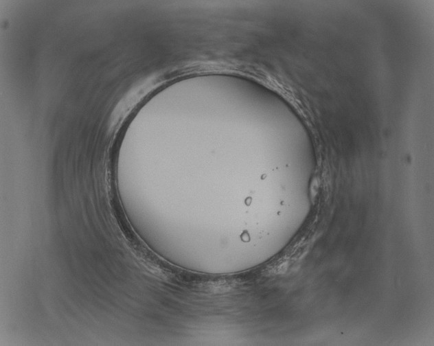 X0000071770103200607211542