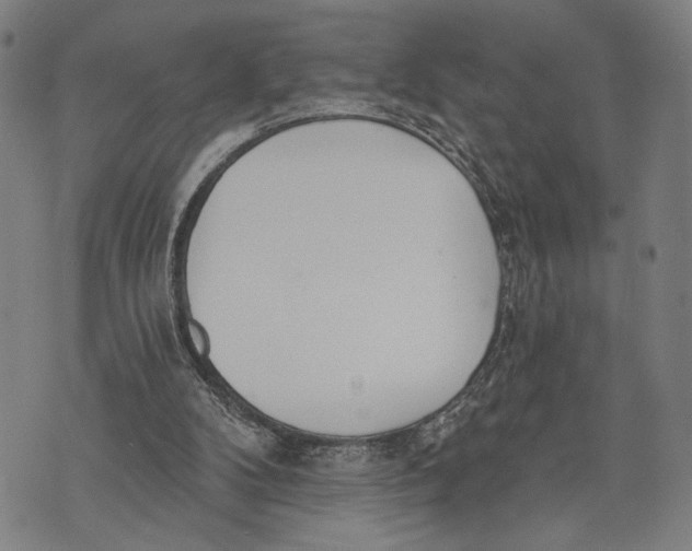 X0000071770104200607211542