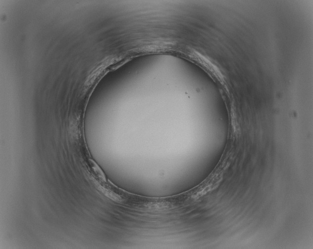 X0000071770105200607211542