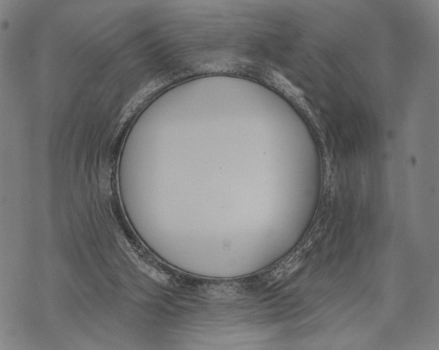 X0000071770106200607211542