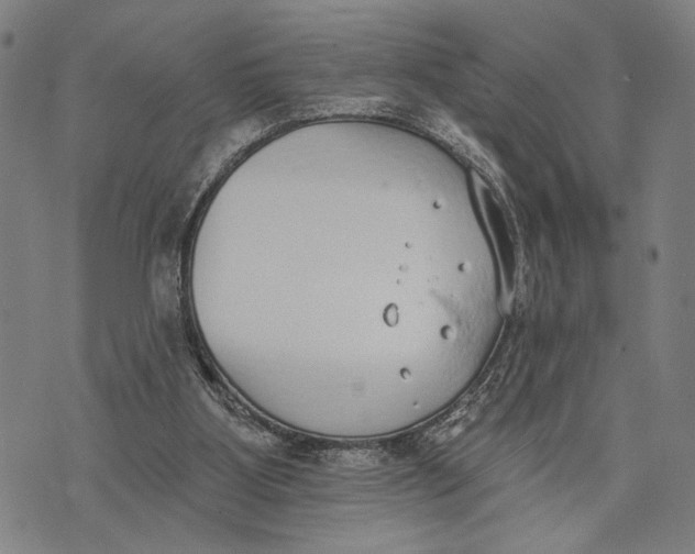 X0000071770107200607211542