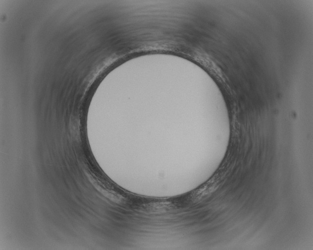 X0000071770108200607211542