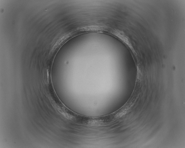 X0000071770109200607211542