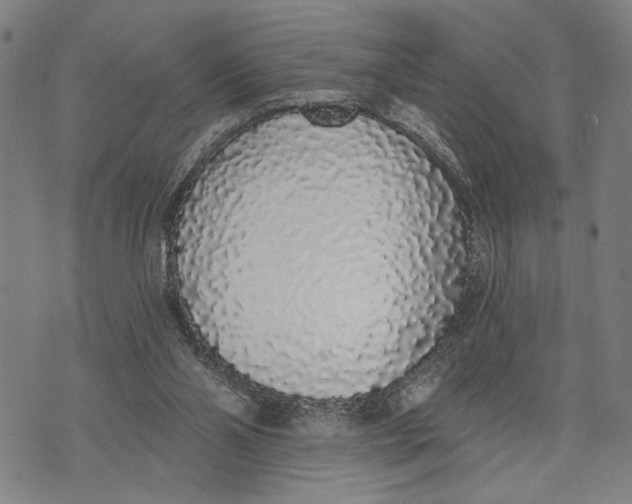 X0000071770110200607211542