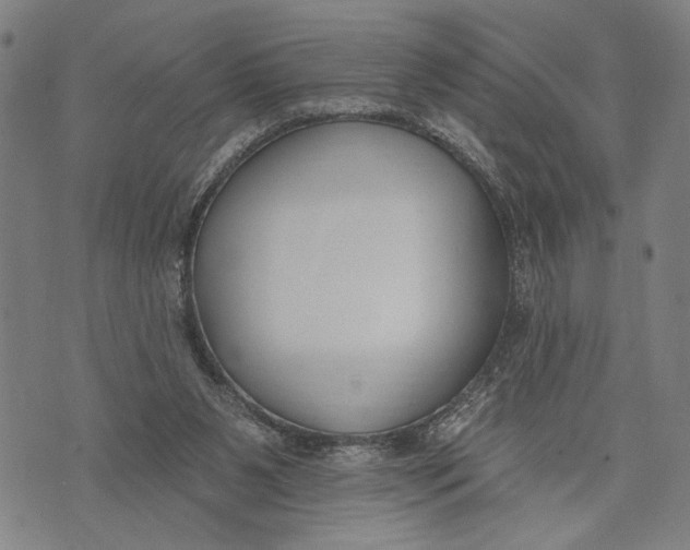 X0000071770111200607211542