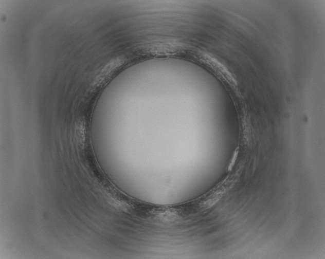 X0000071770113200607211541