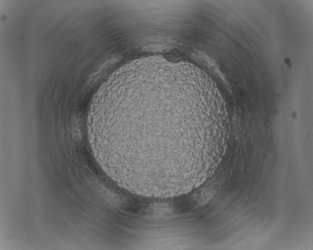 X0000071770114200607211541