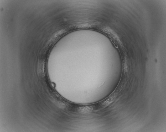 X0000071770115200607211541