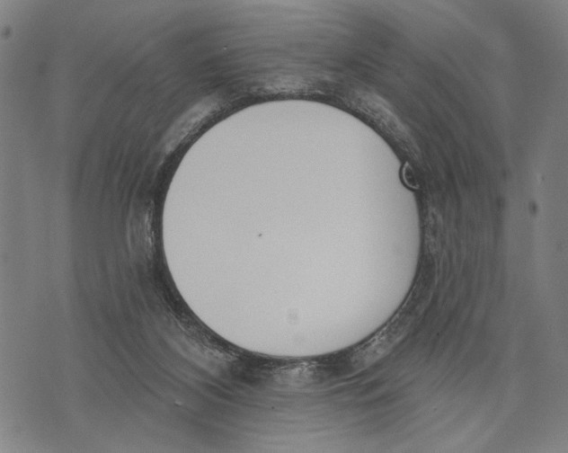 X0000071770116200607211541