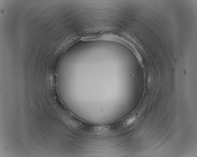 X0000071770117200607211541