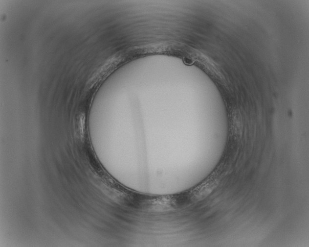 X0000071770118200607211541