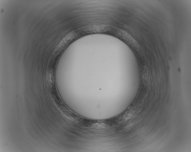 X0000071770119200607211541