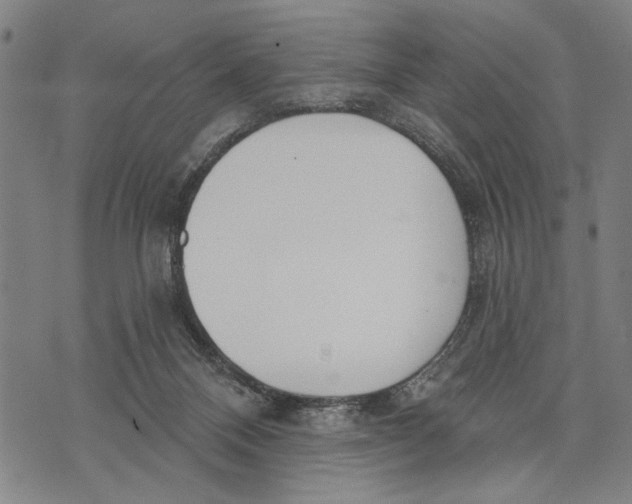 X0000071770120200607211541