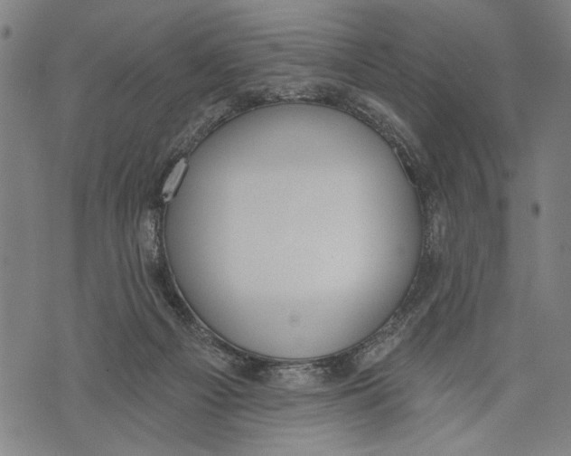 X0000071770121200607211541