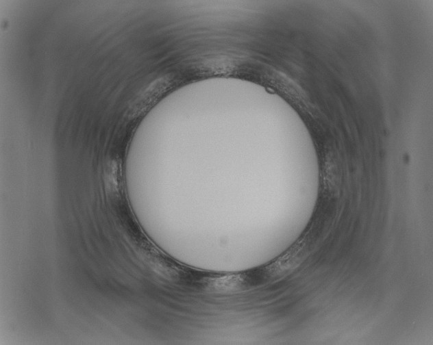 X0000071770122200607211541