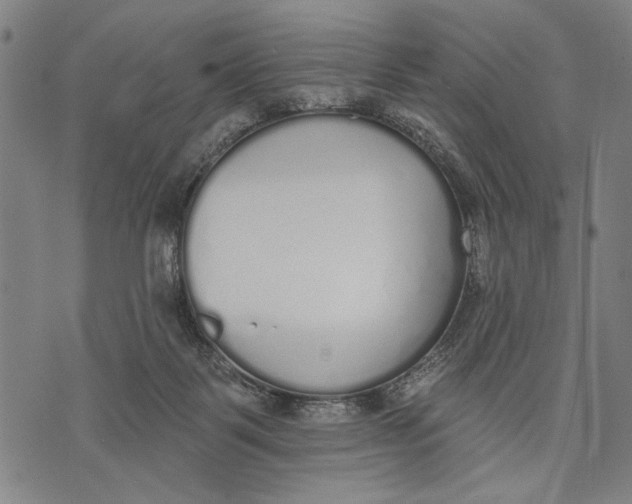 X0000071770123200607211541