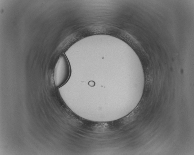 X0000071770124200607211541