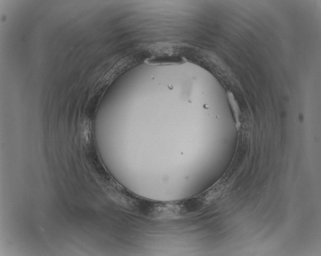 X0000071770125200607211541