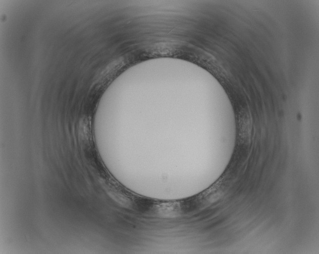 X0000071770126200607211541