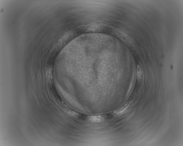 X0000071770127200607211541