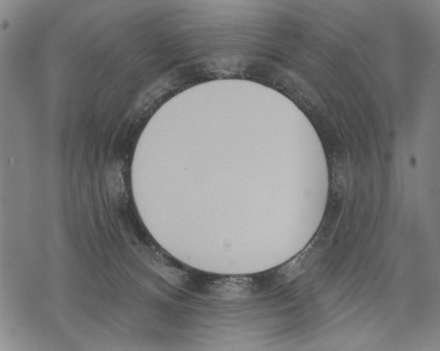 X0000071770128200607211541