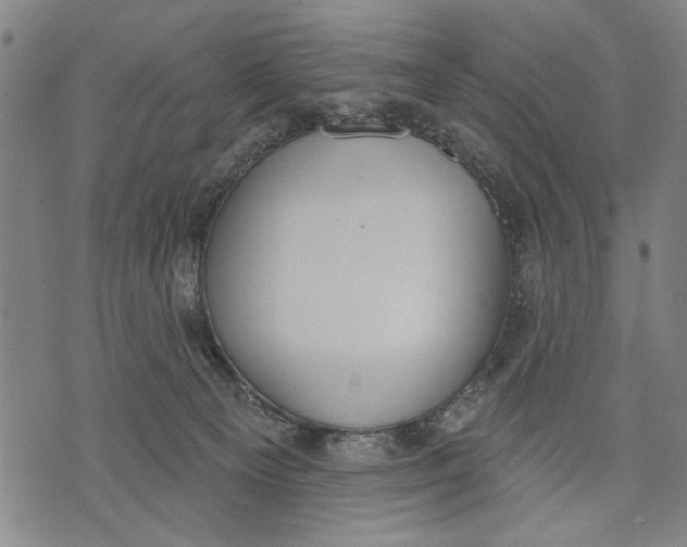 X0000071770129200607211541