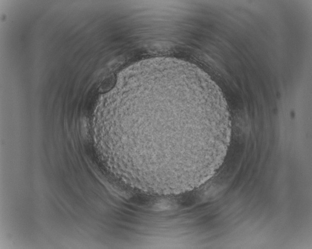 X0000071770130200607211541