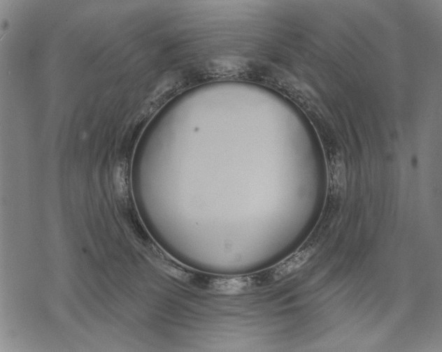 X0000071770131200607211541