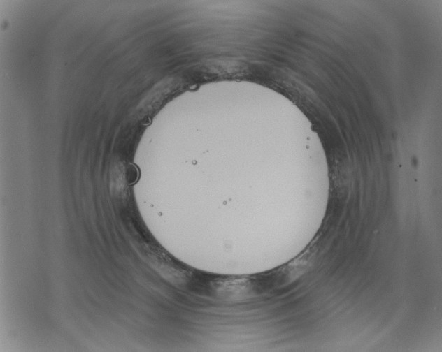 X0000071770132200607211541