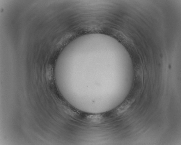 X0000071770133200607211541