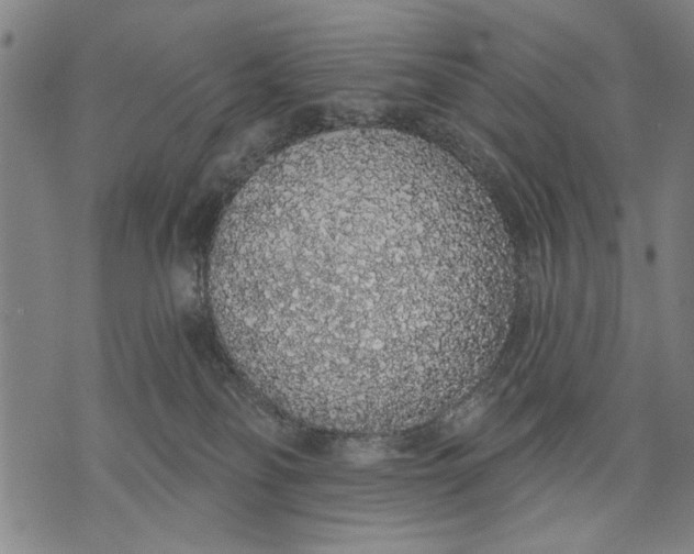 X0000071770134200607211541